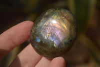 Polished Labradorite Galets (Palm Stones)  - Sold per 1 kg - From Tulear, Madagascar