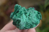 Natural Chatoyant Silky Malachite Specimens  x 6 From Kasompe, Congo - Toprock Gemstones and Minerals 