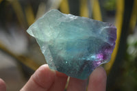 Natural Rough Watermelon Fluorite Cobbed Specimens  x 24 From Uis, Namibia