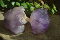 Natural Large Amethyst Window Quartz Crystals  x 6 From Ambatondrazaka, Madagascar - Toprock Gemstones and Minerals 