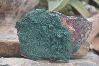 Natural Crystalline Malachite Specimens  x 2 From Congo