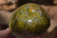 Polished Green Opal Standing Free Forms  x 2 From Madagascar