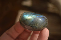 Polished Labradorite Galets (Palm Stones)  - Sold per 1 kg - From Tulear, Madagascar