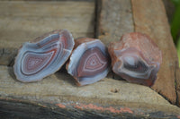 Polished Stunning Banded River Agate Nodules  x 12 From Sashe River, Zimbabwe - Toprock Gemstones and Minerals 