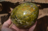 Polished Green Opal Standing Free Forms  x 2 From Madagascar