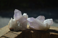 Natural Small Jacaranda Amethyst Specimens  x 12 From Mumbwa, Zambia - Toprock Gemstones and Minerals 