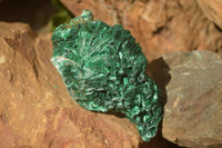 Natural Chatoyant Silky Malachite Specimens  x 3 From Congo - Toprock Gemstones and Minerals 