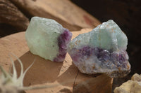 Natural Rough Watermelon Fluorite Cobbed Specimens  x 24 From Uis, Namibia