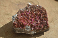 Natural Pink Salrose Cobaltion Dolomite Specimens  x 6 From Kakanda, Congo - Toprock Gemstones and Minerals 