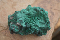 Natural Chatoyant Silky Malachite Specimens  x 6 From Kasompe, Congo - Toprock Gemstones and Minerals 