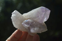 Natural Small Jacaranda Amethyst Specimens  x 12 From Mumbwa, Zambia - Toprock Gemstones and Minerals 