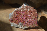 Natural Pink Salrose Cobaltion Dolomite Specimens  x 6 From Kakanda, Congo - Toprock Gemstones and Minerals 