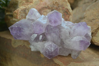 Natural Jacaranda Amethyst Clusters x 2 From Zambia