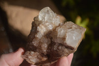 Natural Candle Quartz Clusters  x 5 From Madagascar