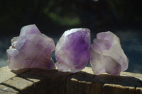 Natural Large Amethyst Window Quartz Crystals  x 6 From Ambatondrazaka, Madagascar - Toprock Gemstones and Minerals 