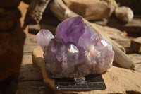 Natural Jacaranda Amethyst Clusters x 2 From Zambia