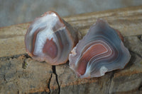 Polished Stunning Banded River Agate Nodules  x 12 From Sashe River, Zimbabwe - Toprock Gemstones and Minerals 