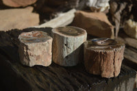 Polished Petrified Wood Branch Pieces x 3 From Gokwe, Zimbabwe