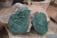 Natural Crystalline Malachite Specimens  x 2 From Congo