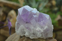 Natural Jacaranda Amethyst Clusters x 2 From Zambia