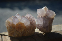 Natural Mixed Spirit Amethyst Quartz Clusters  x 12 From Boekenhouthoek, South Africa - Toprock Gemstones and Minerals 