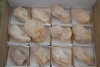 Natural Highly Selected Pineapple Candle Quartz Crystals  x 12 From Antsirabe, Madagascar - Toprock Gemstones and Minerals 