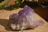 Natural Jacaranda Amethyst Clusters x 2 From Zambia