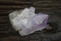 Natural Small Jacaranda Amethyst Specimens  x 12 From Mumbwa, Zambia - Toprock Gemstones and Minerals 