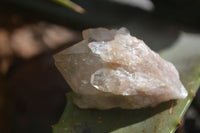 Natural Cascading White Phantom Smokey Quartz Crystal Clusters  x 13 From Luena, Congo - Toprock Gemstones and Minerals 