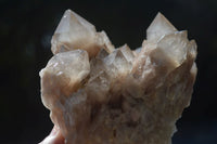 Natural Cascading White Phantom Smokey Quartz Clusters  x 2 From Luena, Congo - Toprock Gemstones and Minerals 