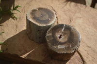 Polished Petrified Wood Branch Pieces x 3 From Gokwe, Zimbabwe