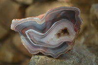 Polished Red Sashe River Agate Nodules x 12 From Sashe River, Zimbabwe