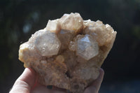 Natural Cascading White Phantom Smokey Quartz Clusters  x 2 From Luena, Congo - Toprock Gemstones and Minerals 