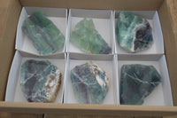 Polished Watermelon Fluorite Slices  x 6 From Uis, Namibia