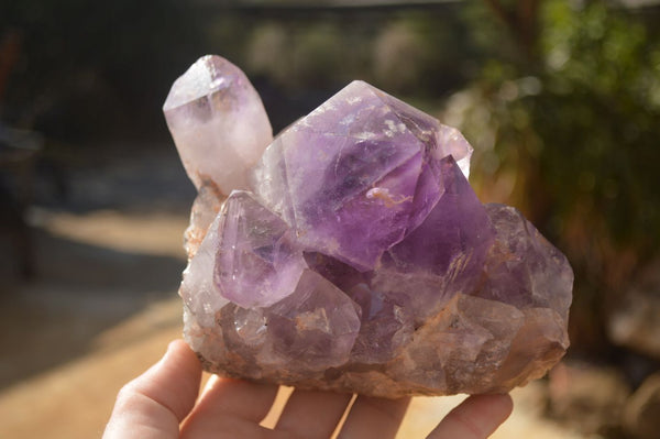 Natural Jacaranda Amethyst Clusters x 2 From Zambia