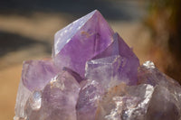 Natural Jacaranda Amethyst Clusters x 2 From Zambia