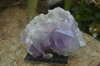 Natural Jacaranda Amethyst Clusters x 2 From Zambia