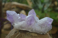 Natural Jacaranda Amethyst Clusters x 2 From Zambia