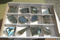 Polished One Side Polished Labradorite Slices  x 12 From Tulear, Madagascar - Toprock Gemstones and Minerals 