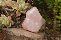 Polished Pink Rose Quartz Flames  x 4 From Ambatondrazaka, Madagascar - TopRock