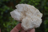 Natural Candle Quartz Clusters  x 5 From Madagascar