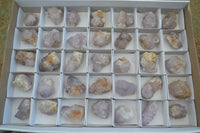 Natural Small Mixed Spirit Amethyst / Ametrine Specimens  x 35 From Boekenhouthoek, South Africa - Toprock Gemstones and Minerals 