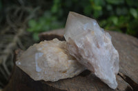 Natural Cascading White Phantom Smokey Quartz Crystal Clusters  x 13 From Luena, Congo - Toprock Gemstones and Minerals 