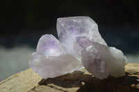 Natural Small Jacaranda Amethyst Specimens  x 12 From Mumbwa, Zambia - Toprock Gemstones and Minerals 