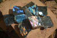 Polished One Side Polished Labradorite Slices  x 12 From Tulear, Madagascar - Toprock Gemstones and Minerals 