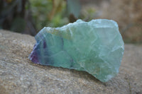 Polished Watermelon Fluorite Slices  x 6 From Uis, Namibia