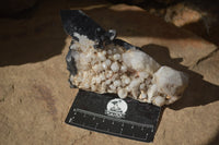 Natural Candle Quartz Clusters  x 5 From Madagascar