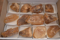 Natural Honey Aragonite Etched & Cobbed Pieces  x 12 From Namibia