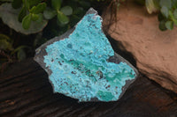 Natural Silica Chrysocolla On Dolomite Matrix Specimens x 2 From Congo