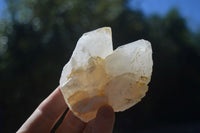 Natural "Cathedral Window" Cascading Quartz Specimens  x 7 From Madagascar - Toprock Gemstones and Minerals 